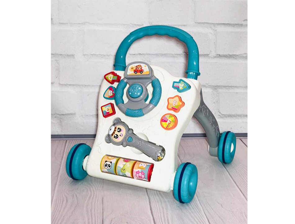 Baby Walker - met geluid en lichtjes - 9 tot 36 Maanden baby Loopwagen 