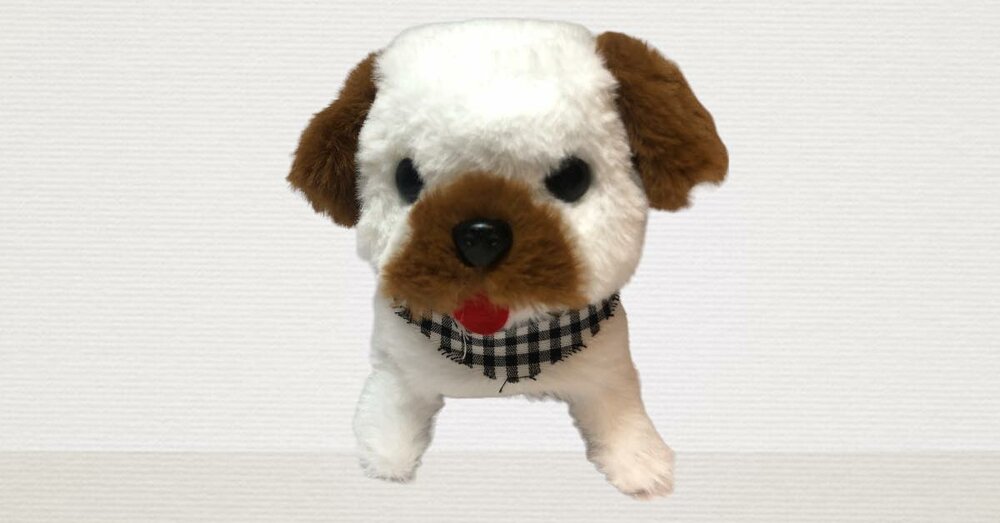 Bichon fris&eacute; cute dog
