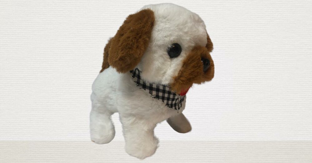 Bichon fris&eacute; cute dog