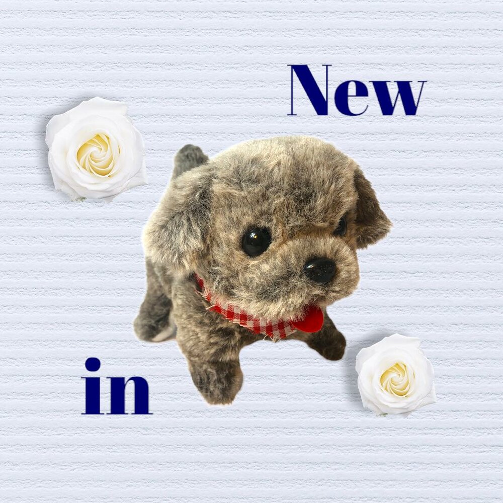 ISTARSKI schattig hondje