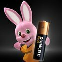 Duracell Alkaline AAA batterijen &ndash; 12 stuks