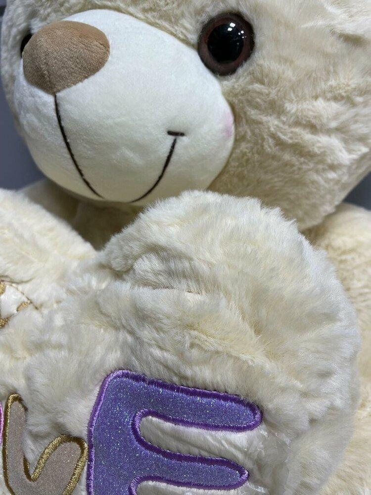 Knuffelbeer Groot - 75CM- zacht knuffel - met Love kussentje - Teddy beer