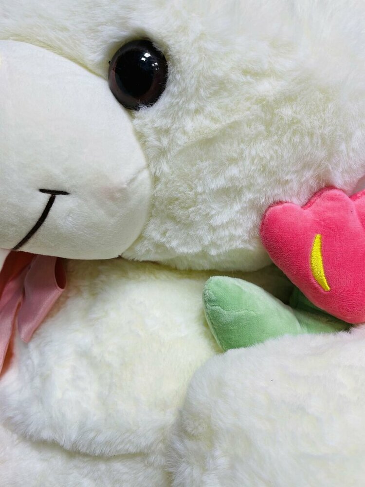 Teddy bear - i Love you - 75CM - soft cuddly bear with rose - teddy bear