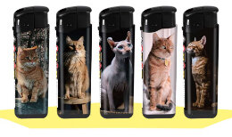 Lighters 50 pieces - refillable - adjustable flame - cat print