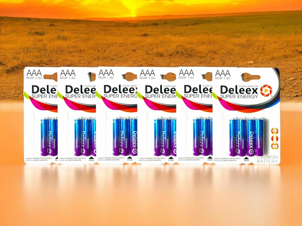 Batterijen Deleex AAA R03P 1.5V - 24- stuks in pak