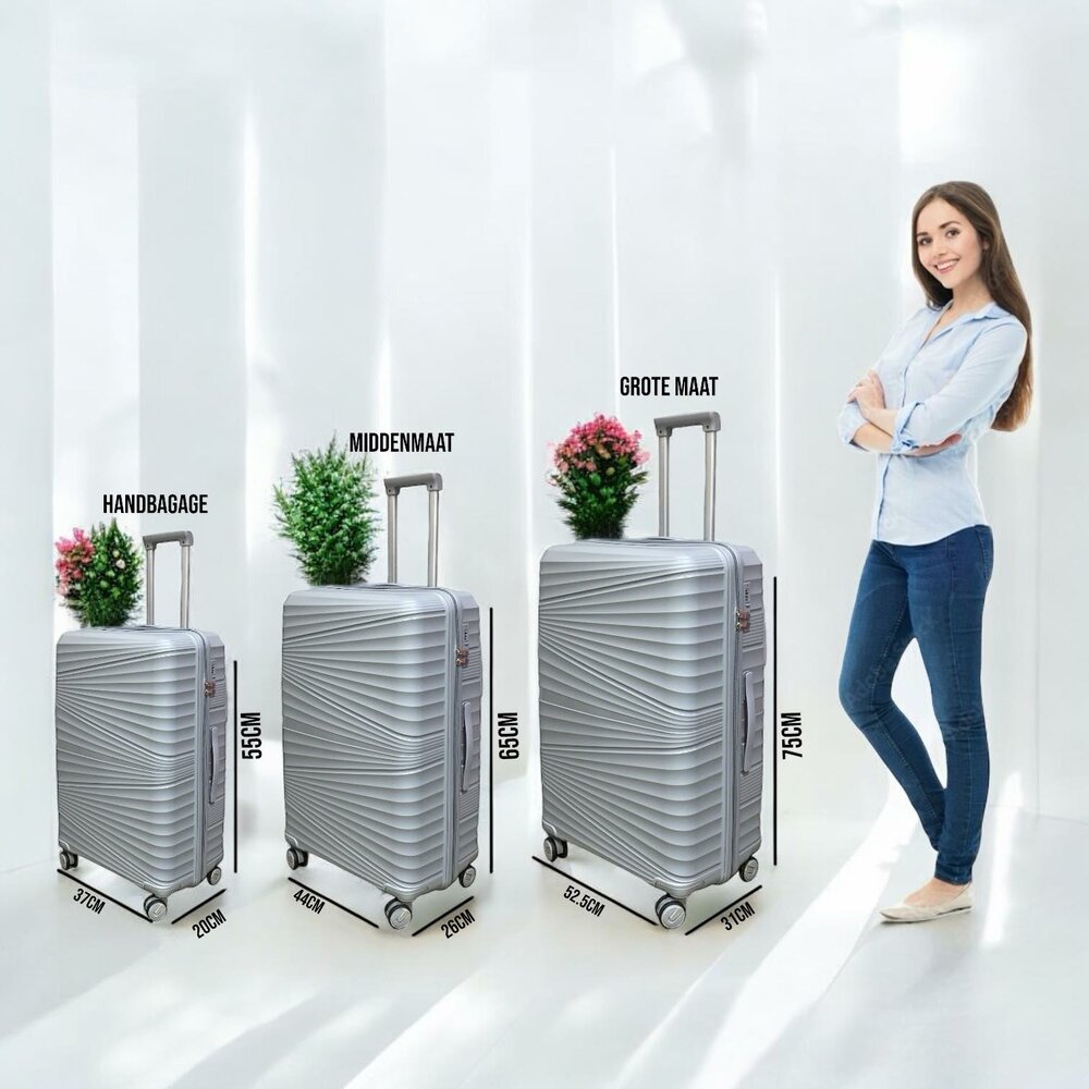 Large suitcase - Gray - 65cm - up to 28kg - 4 wheels 360 degree spinner