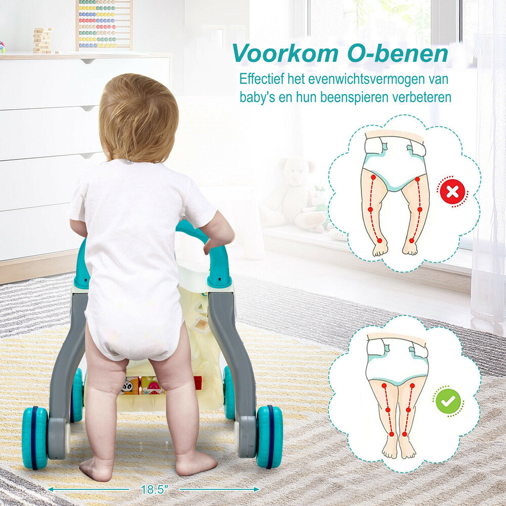 Baby Walker - met geluid en lichtjes - 9 tot 36 Maanden baby Loopwagen 