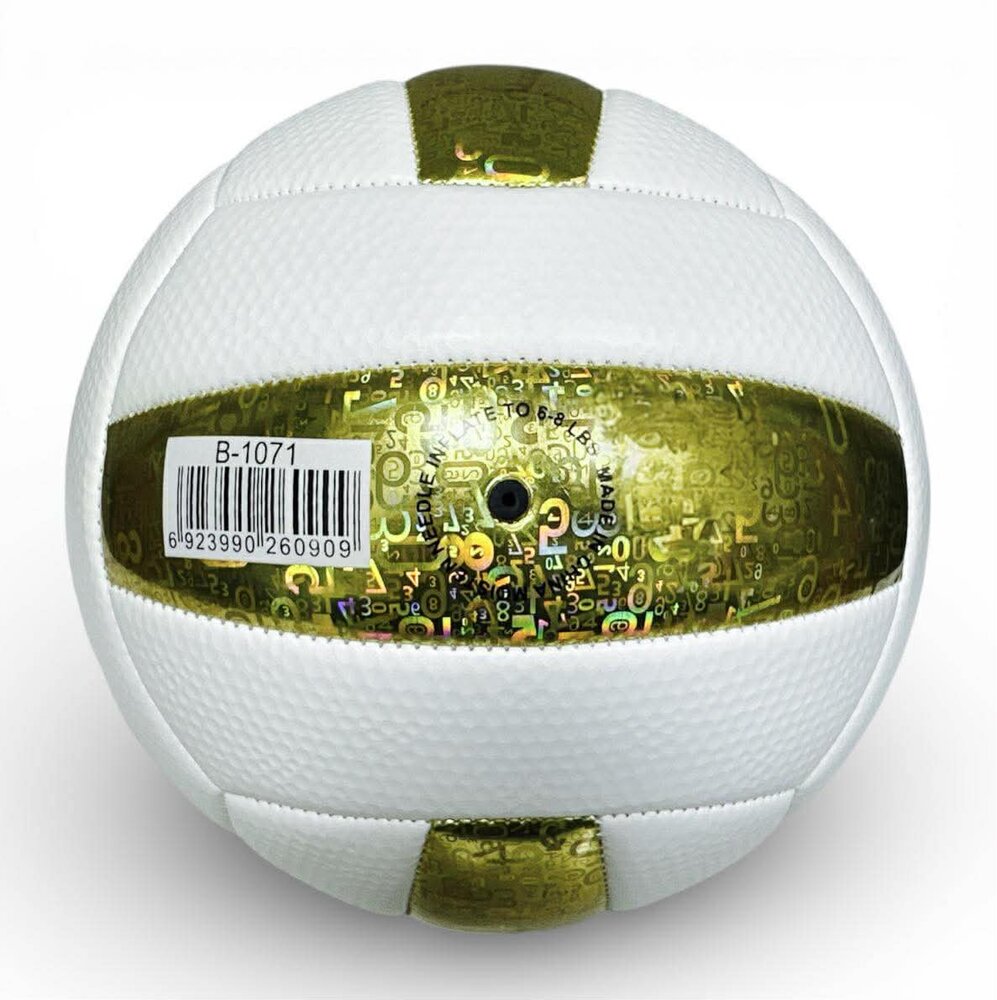 Volleybal - Baisidiwei  - Offici&euml;le maat en gewicht 280 g maat 5