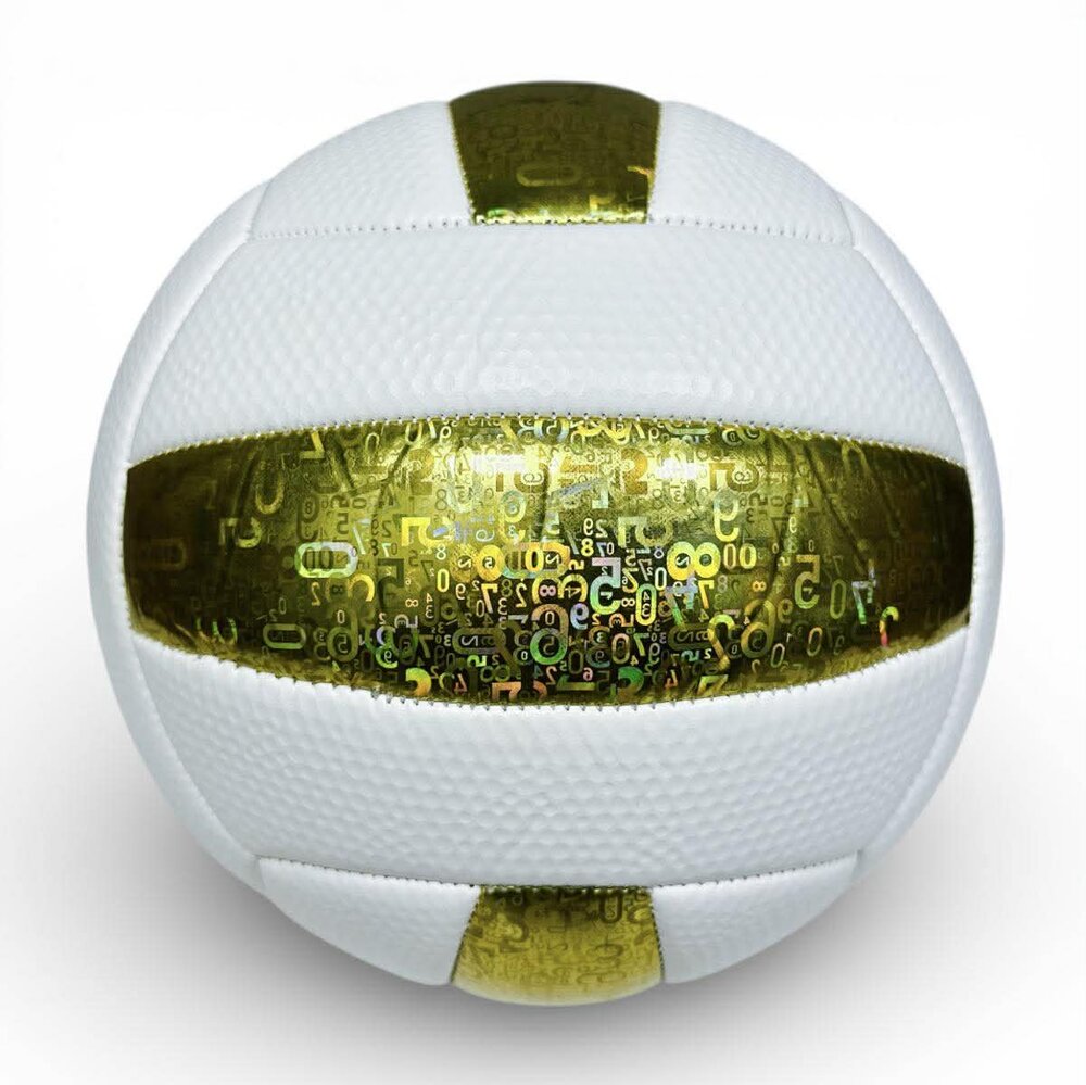 Volleybal - Baisidiwei  - Offici&euml;le maat en gewicht 280 g maat 5
