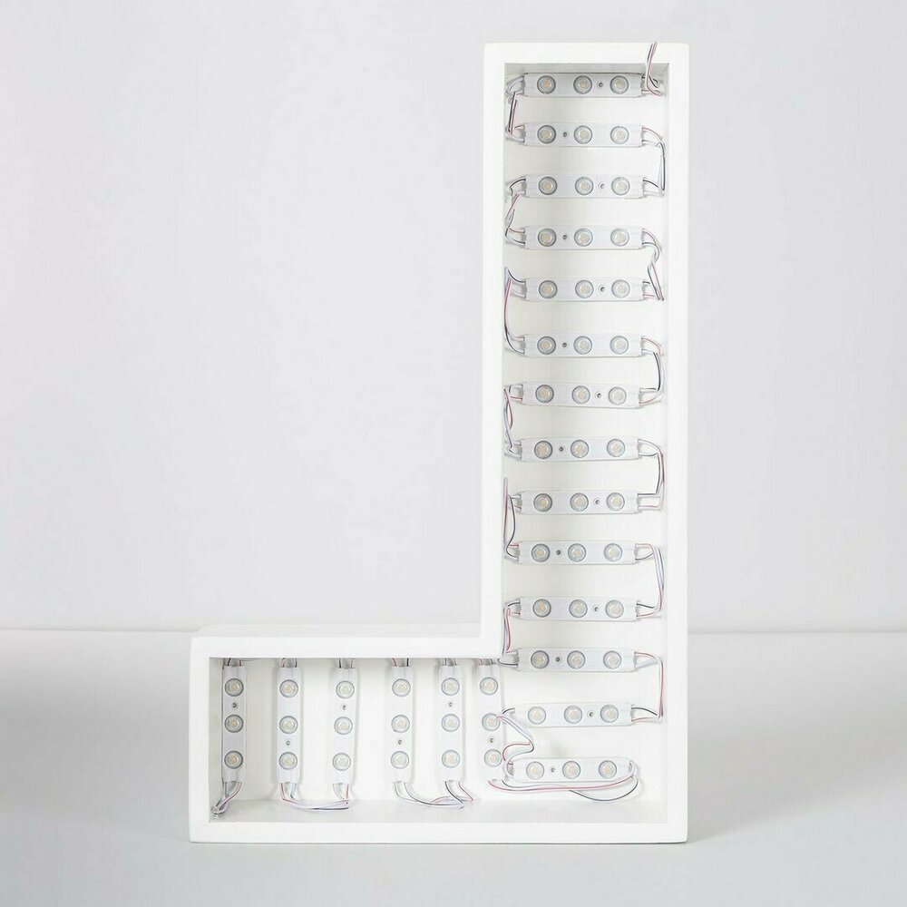 LED reclame lamp - 220V SMD LED Module Wit &ndash; 6000K Daglicht Wit &ndash; Voor Reclameletters &amp; Lichtbakken