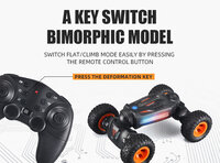 RC Twist Auto 2.4GHz - Transformeert Laag/Hoog - RC Stunt Car 