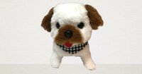 Bichon fris&eacute; schattig hondje