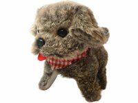 ISTARSKI schattig hondje