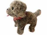 ISTARSKI schattig hondje