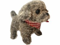 ISTARSKI schattig hondje