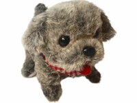 ISTARSKI schattig hondje