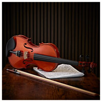 Viool 4/4 - met softcase, strijkstok en hars incl. Rosin - Akoestische Violin