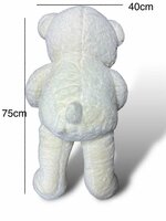 Knuffelbeer Groot Wit - 75CM- zacht knuffel - met Love kussentje - Teddy beer