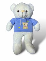 Knuffelbeer Groot - 75CM - zacht knuffel - Teddy beer met trui