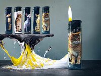 Aanstekers  50 stuks - navulbaar - verstelbaar vlam - katten print