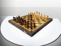 Schaakbord - Hout schaakset - Magnetisch - 49 CM - Opklapbaar - 2 extra Koninginnen