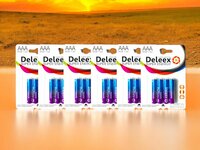 Batterijen Deleex AAA R03P 1.5V - 24- stuks in pak