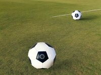 Voetbal glanzend maat 5 - zwart en wit klassiek design