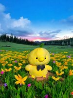 Knuffel eendjes pluche | schattige eendjes Knuffel, speelgoed (35 cm)