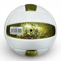 Volleybal - Baisidiwei  - Offici&euml;le maat en gewicht 280 g maat 5