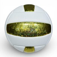 Volleybal - Baisidiwei  - Offici&euml;le maat en gewicht 280 g maat 5