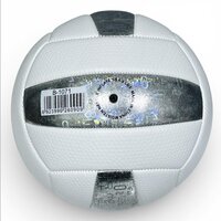 Volleybal - Baisidiwei  - Offici&euml;le maat en gewicht 280 gram