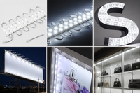 LED reclame lamp - 220V SMD LED Module Wit &ndash; 6000K Daglicht Wit &ndash; Voor Reclameletters &amp; Lichtbakken