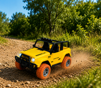 Extreme Sport Car - Rc auto - Geel - Oplaadbaar Accu + USB lader 