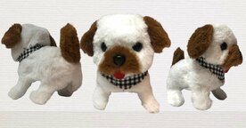 Bichon fris&eacute; schattig hondje