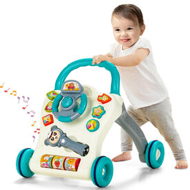 Baby Walker - met geluid en lichtjes - 9 tot 36 Maanden baby Loopwagen 