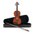 Violin 4/4  - with soft case, bow and rosin incl. Rosin