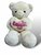 Knuffelbeer Groot Beige - 75CM- zacht knuffel - met Love kussentje - Teddy beer
