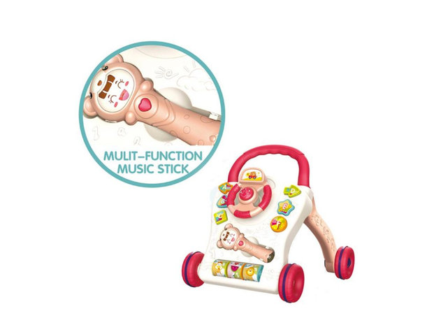 Baby Walker - Educatief Babyspeelgoed - met muziek en lichtjes - baby loopspeelgoed
