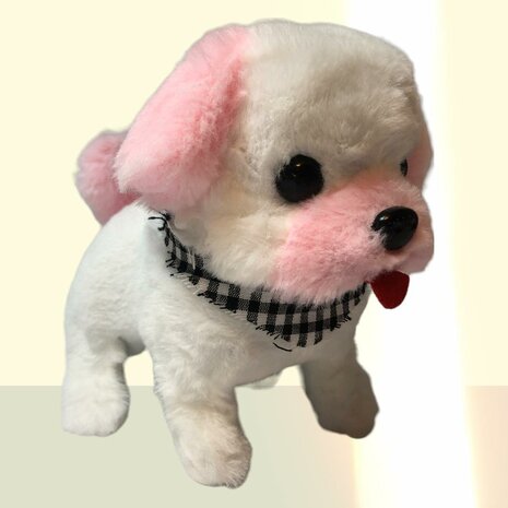 Cute Little Bichon Puppy cute
