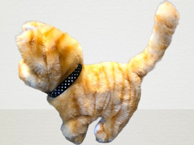 Cute Little kitty -  schattig speelgoed kat -  miauwen en loopt 25CM