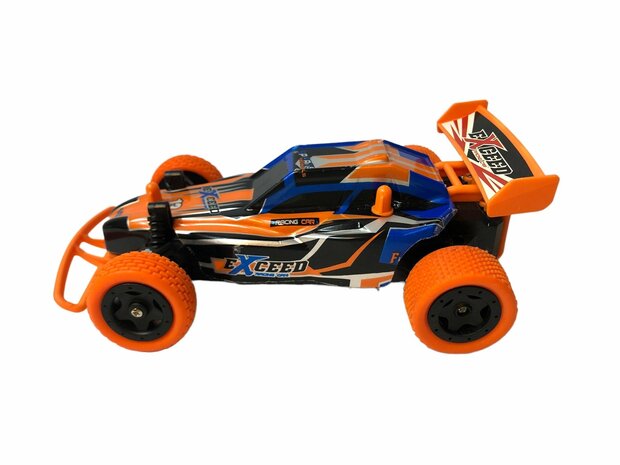 RC Car Electric RC Buggy