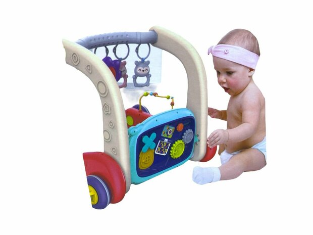 Baby walker - multifunctional walker and play gym