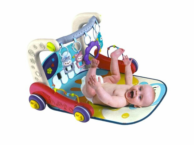 Baby loop kar - multifunctionele rollator en speelgymnastiek 