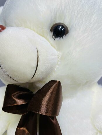 Schattig  teddybeer - lintje - zacht knuffel beer 45CM