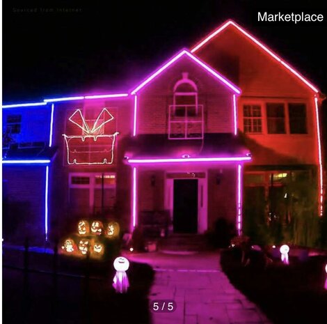LED neon light - 5m 12V low voltage 12 mm (Color: neutral Red)