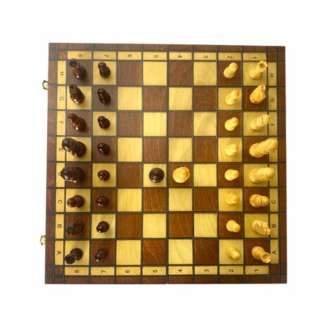 Schaakbord set - 44 x 44 cm - Hout - Magnetisch - Opklapbaar - 2 extra Koninginnen