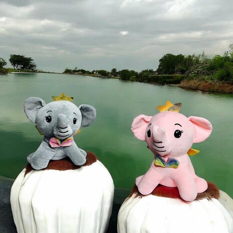 Olifant Knuffel | Dumbo Olifant Knuffel, speelgoed  (30 cm) R