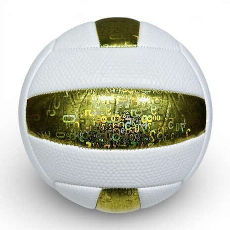 Volleybal - Baisidiwei  - Offici&euml;le maat en gewicht 280 g maat 5