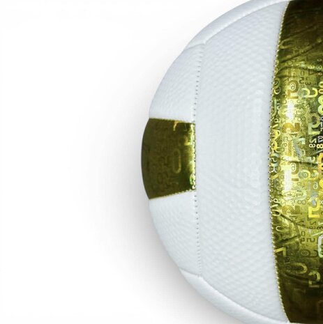 Volleybal - Baisidiwei  - Offici&euml;le maat en gewicht 280 g maat 5