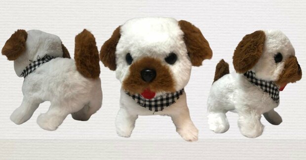 Bichon fris&eacute; schattig hondje
